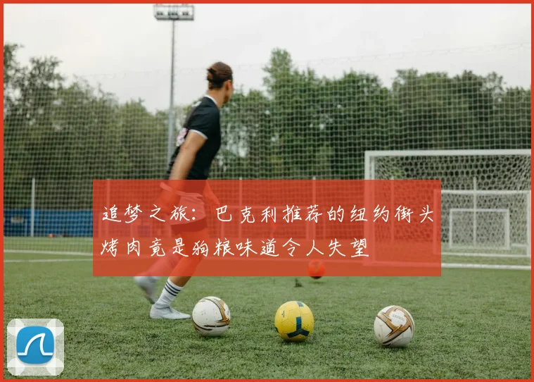追梦之旅：巴克利推荐的纽约街头烤肉竟是狗粮味道令人失望